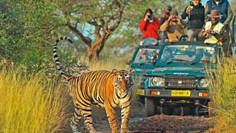 Golden Triangle Tour With Ranthambore