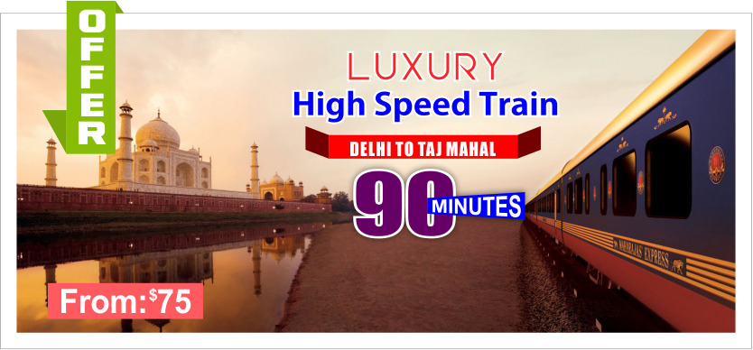 Same Day Agra Tour By Train